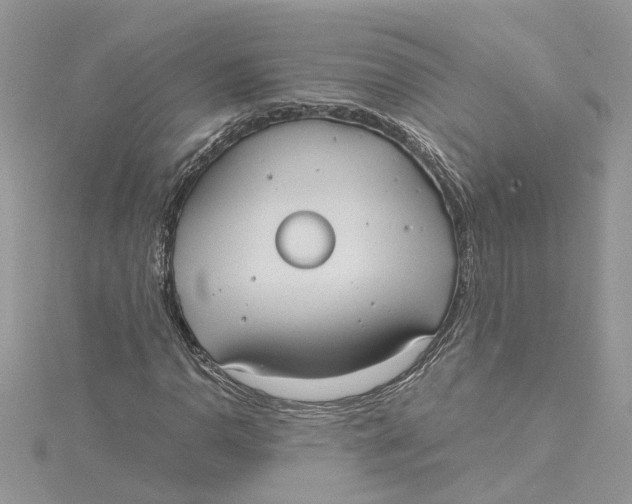 X0000115191110200911181442