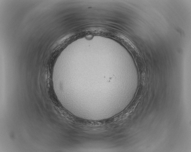 X0000115191111200911181442