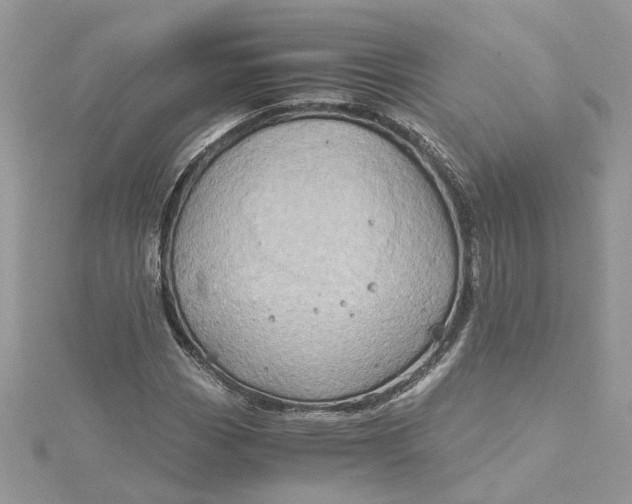 X0000115191113200911181442