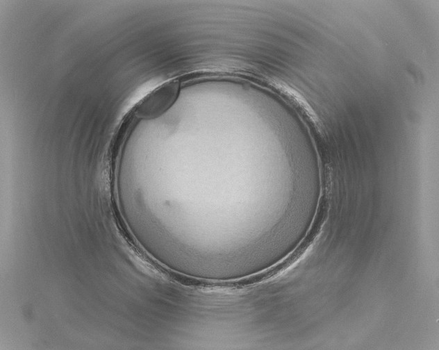 X0000115191114200911181442