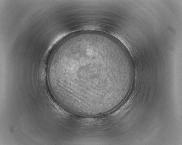 X0000115191115200911181442