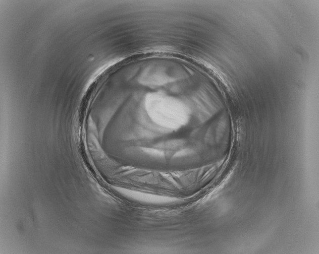 X0000115191117200911181442