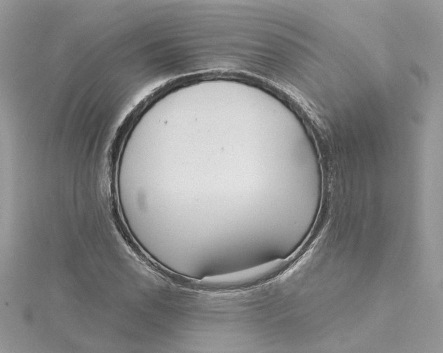 X0000115191118200911181442