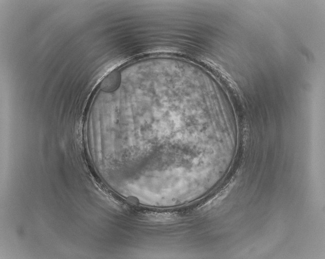 X0000115191121200911181442