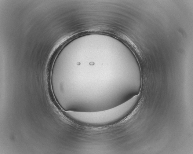 X0000115191122200911181442