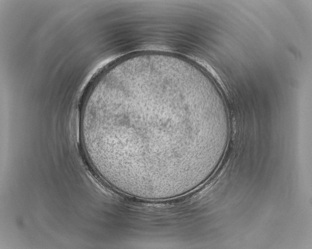 X0000115191123200911181442