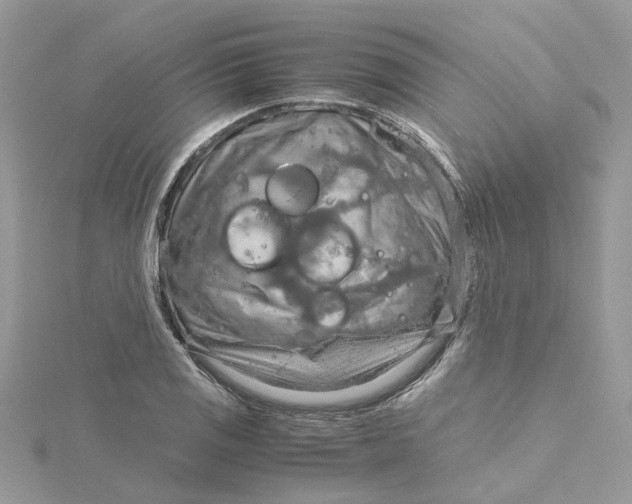 X0000115191125200911181442