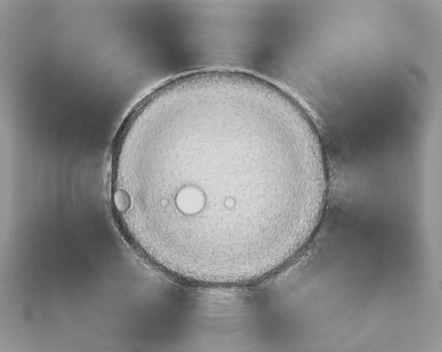 X0000115191126200911181442