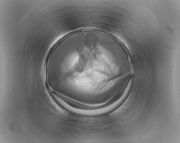 X0000115191127200911181442