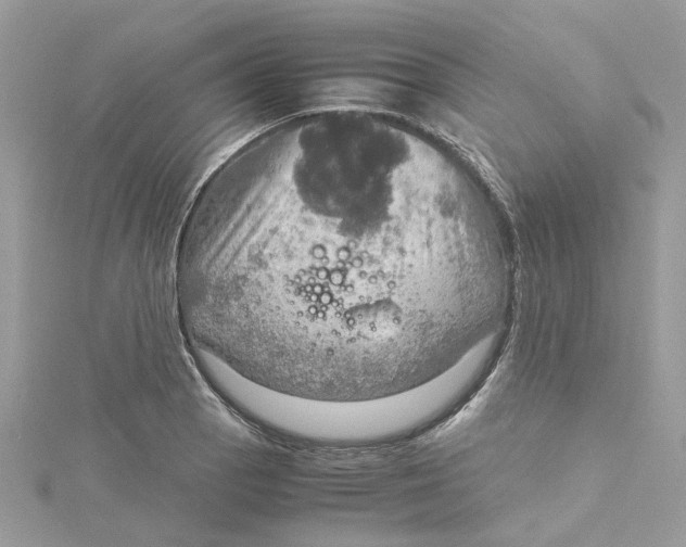 X0000115191129200911181442