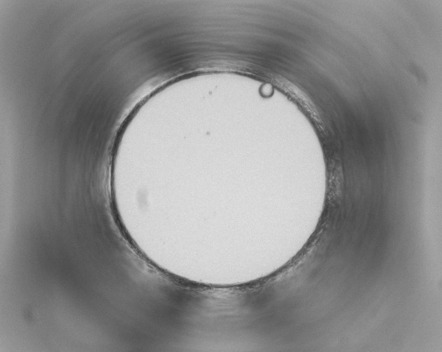 X0000115191130200911181442