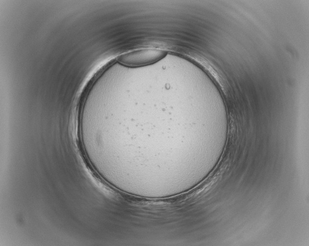 X0000115191131200911181442