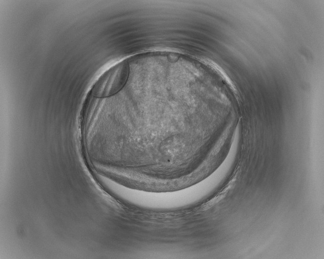 X0000115191133200911181442