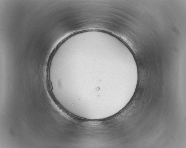 X0000115191134200911181442