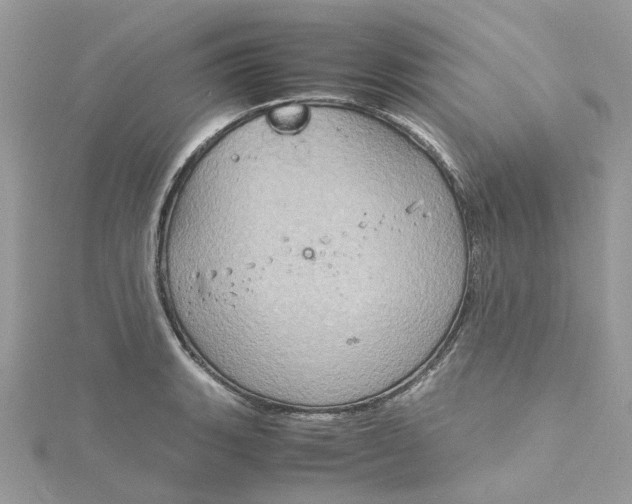 X0000115191135200911181442