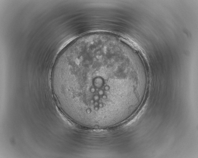 X0000115191137200911181442