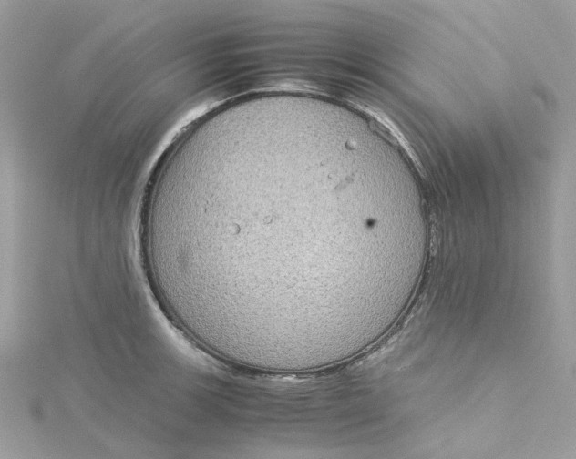 X0000115191139200911181443