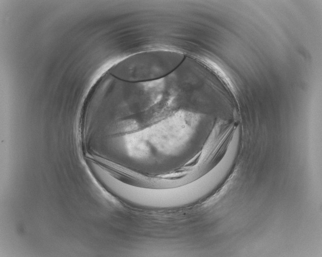 X0000115191141200911181443