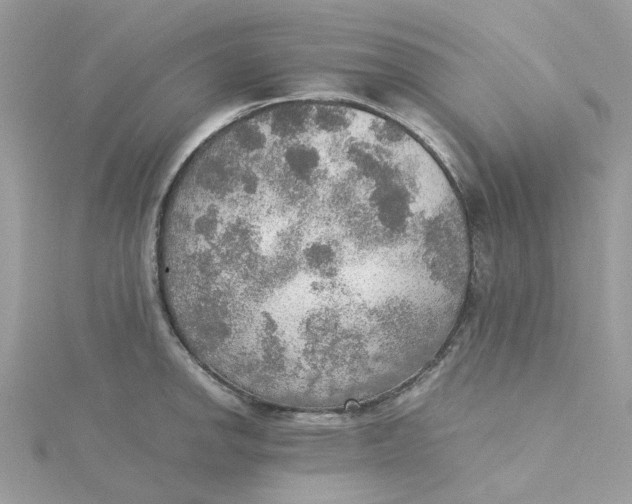 X0000115191142200911181443