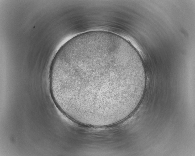 X0000115191143200911181443