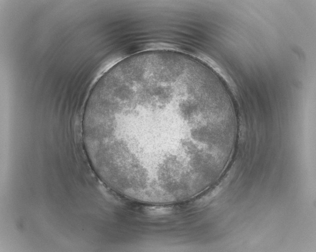 X0000115191145200911181443