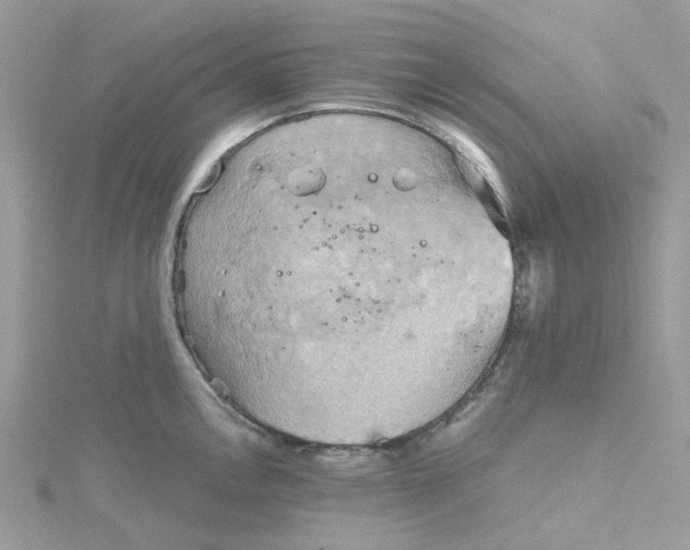 X0000115191146200911181443