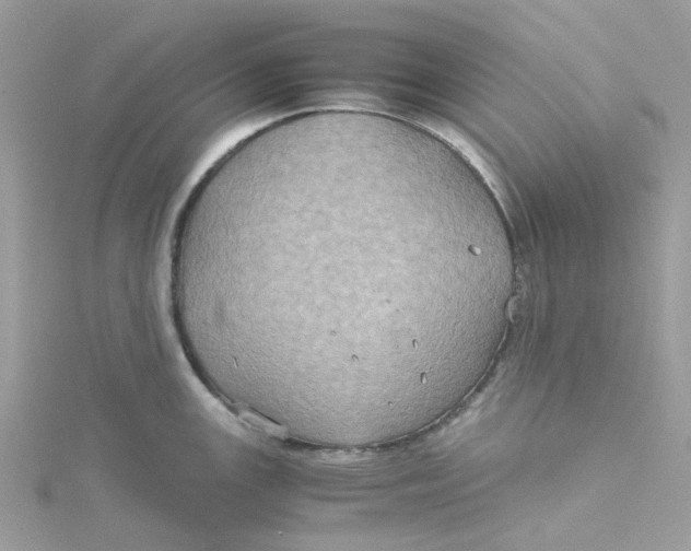 X0000115191147200911181443