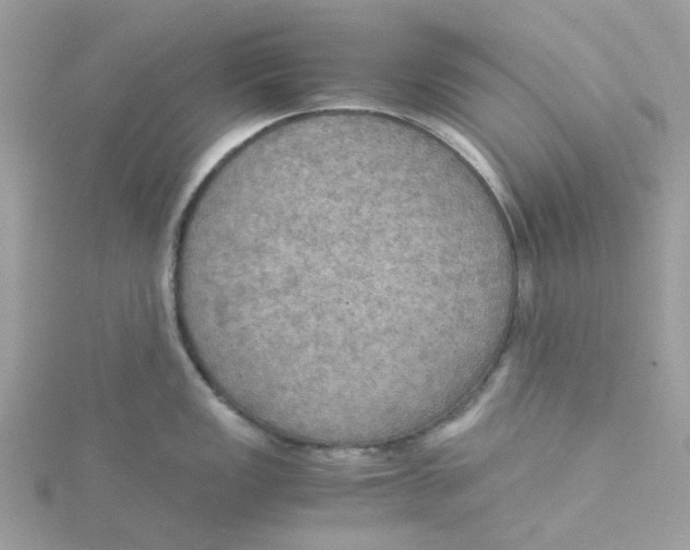 X0000115191149200911181443