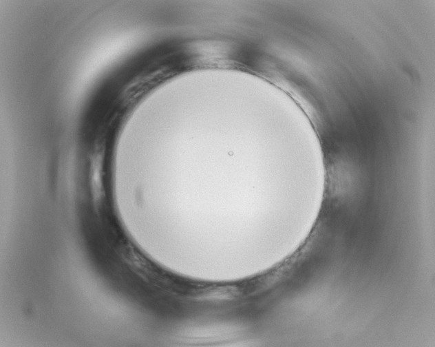 X0000115191150200911181443