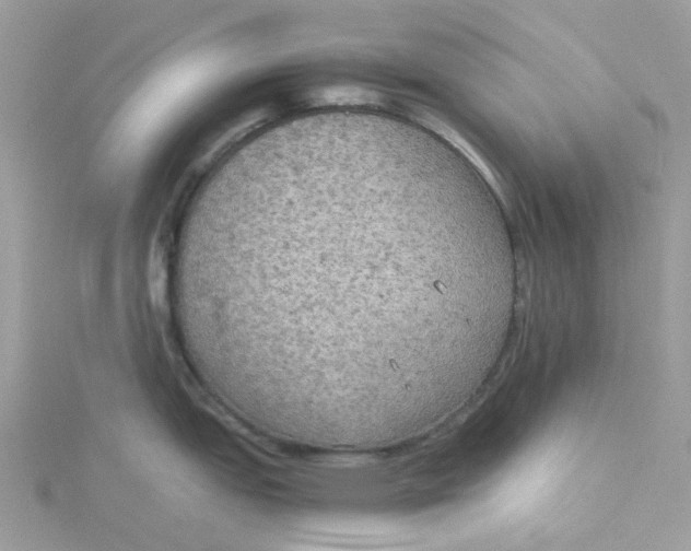 X0000115191151200911181443