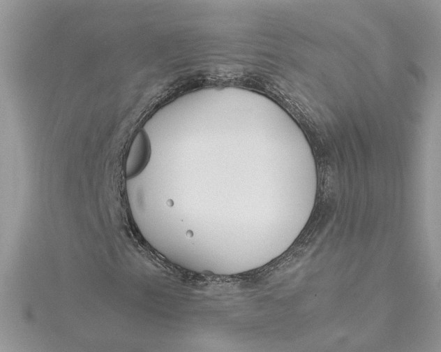 X0000115191153200911181442