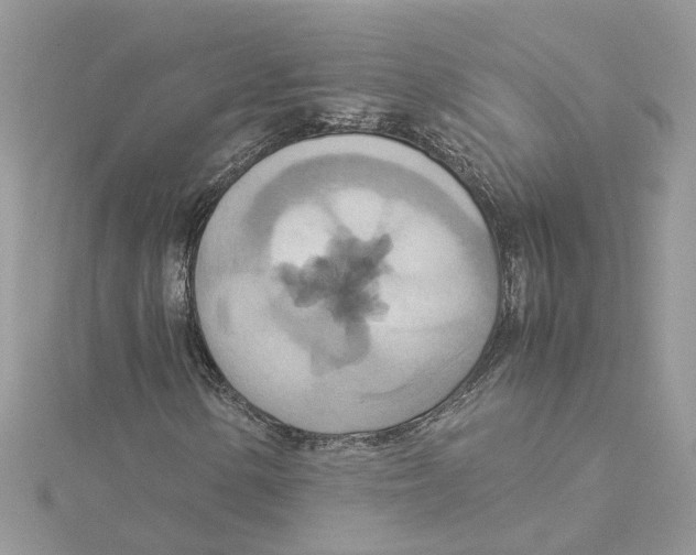 X0000115191154200911181442