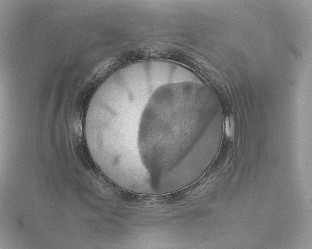 X0000115191155200911181442