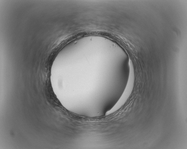 X0000115191157200911181442