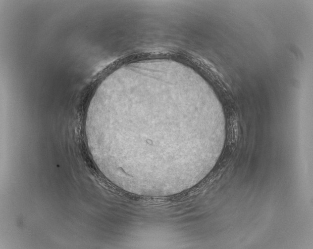 X0000115191158200911181442