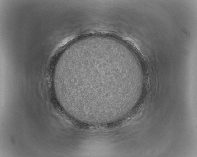 X0000115191159200911181442