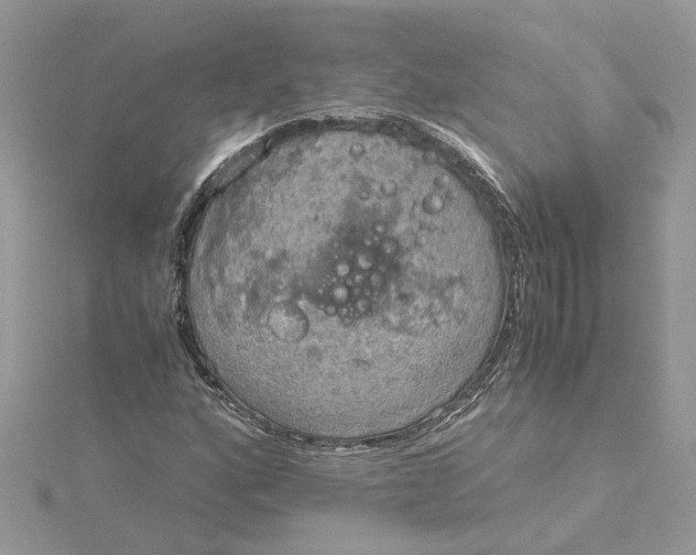 X0000115191160200911181442