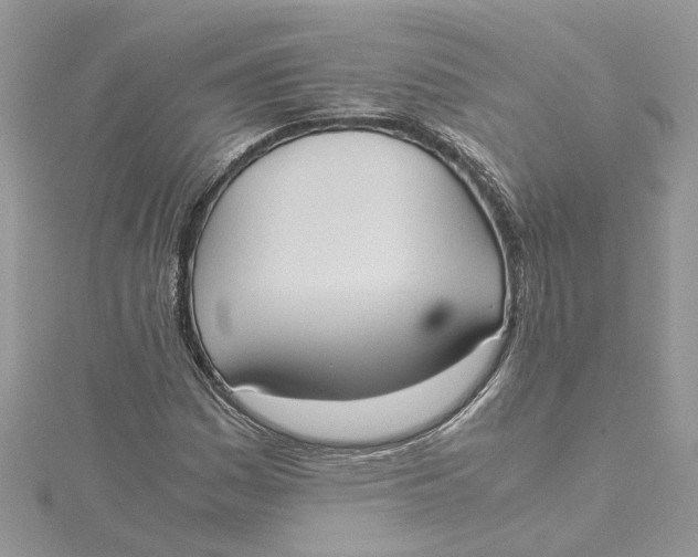 X0000115191161200911181442