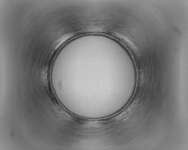 X0000115191162200911181442