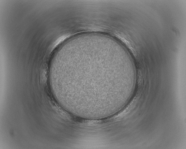 X0000115191163200911181442