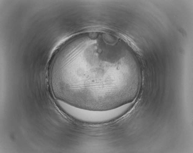 X0000115191164200911181442