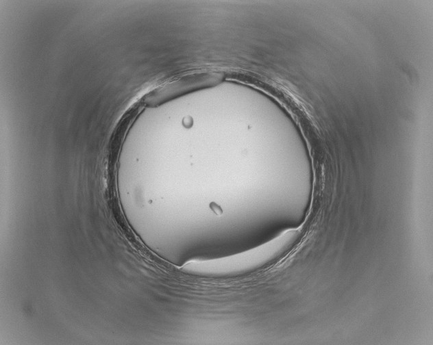 X0000115191165200911181442