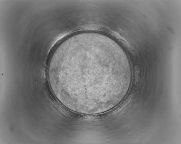 X0000115191166200911181442