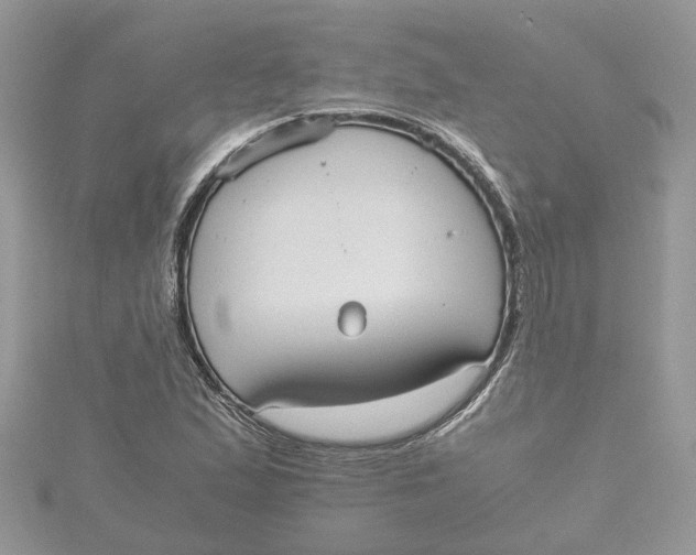 X0000115191167200911181442