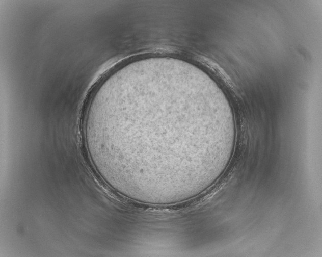 X0000115191168200911181442