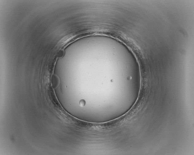 X0000115191169200911181442