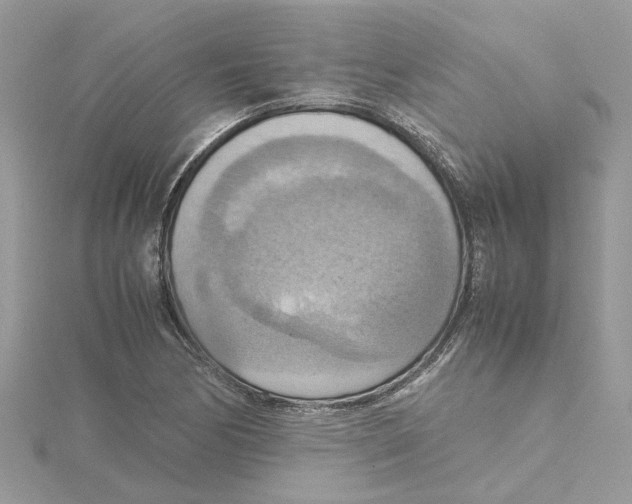 X0000115191170200911181442