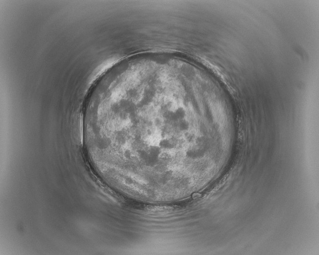 X0000115191171200911181442