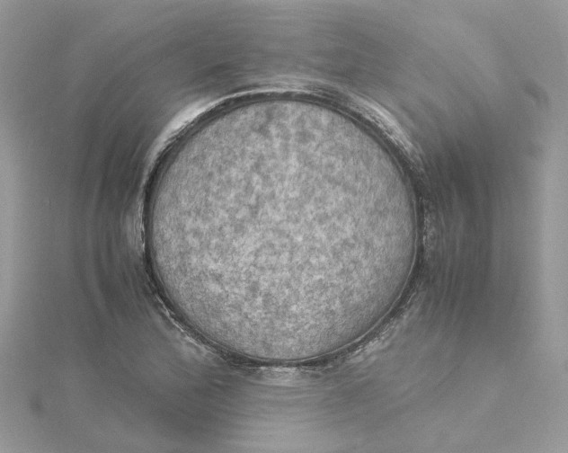 X0000115191172200911181442