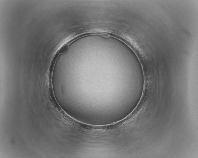 X0000115191173200911181442